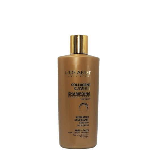 Shampoing Professionnel -...