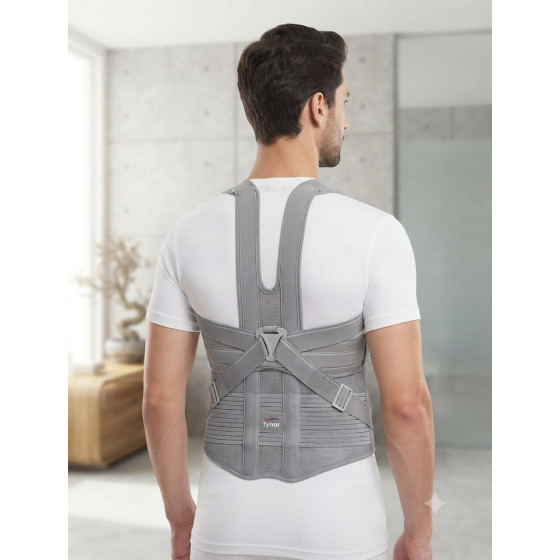 TYNOR CEINTURE DORSO-LOMBAIRE VERTICALE (COURTE / LONGUE)