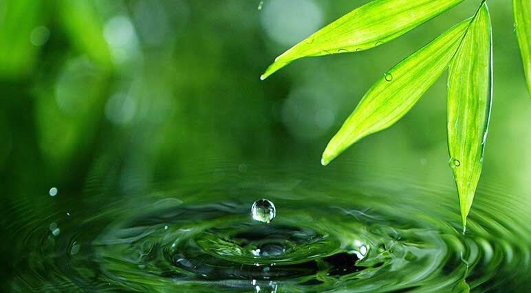 NATURE ET BIO